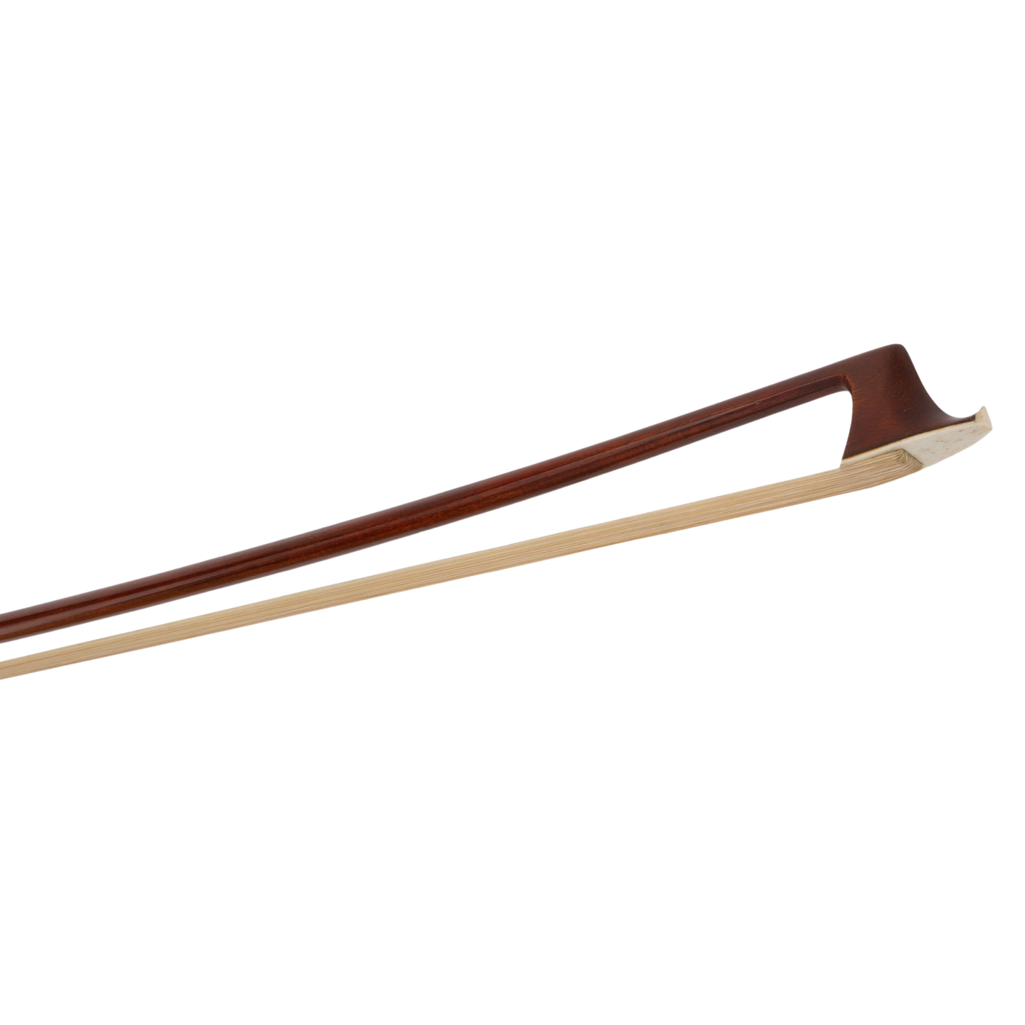 buy Primo VC-5306 Pernambuco Wood Cello Bow Advanced