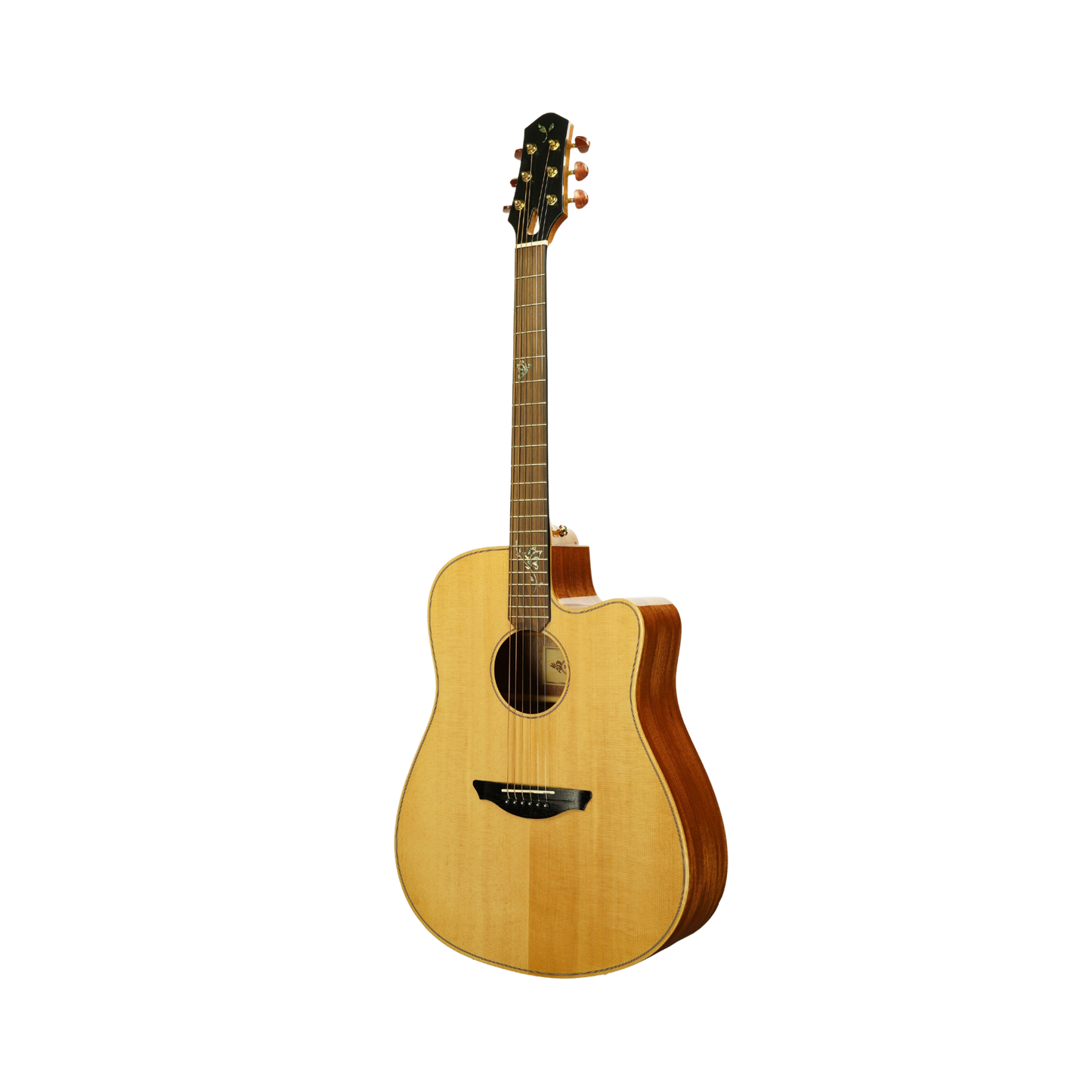 Oriental Cherry W-210-41 Guitar + Outfit