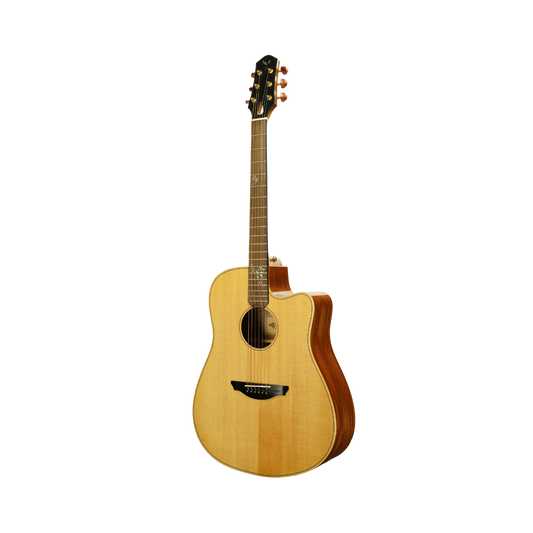 Oriental Cherry W-210-41 Guitar + Outfit