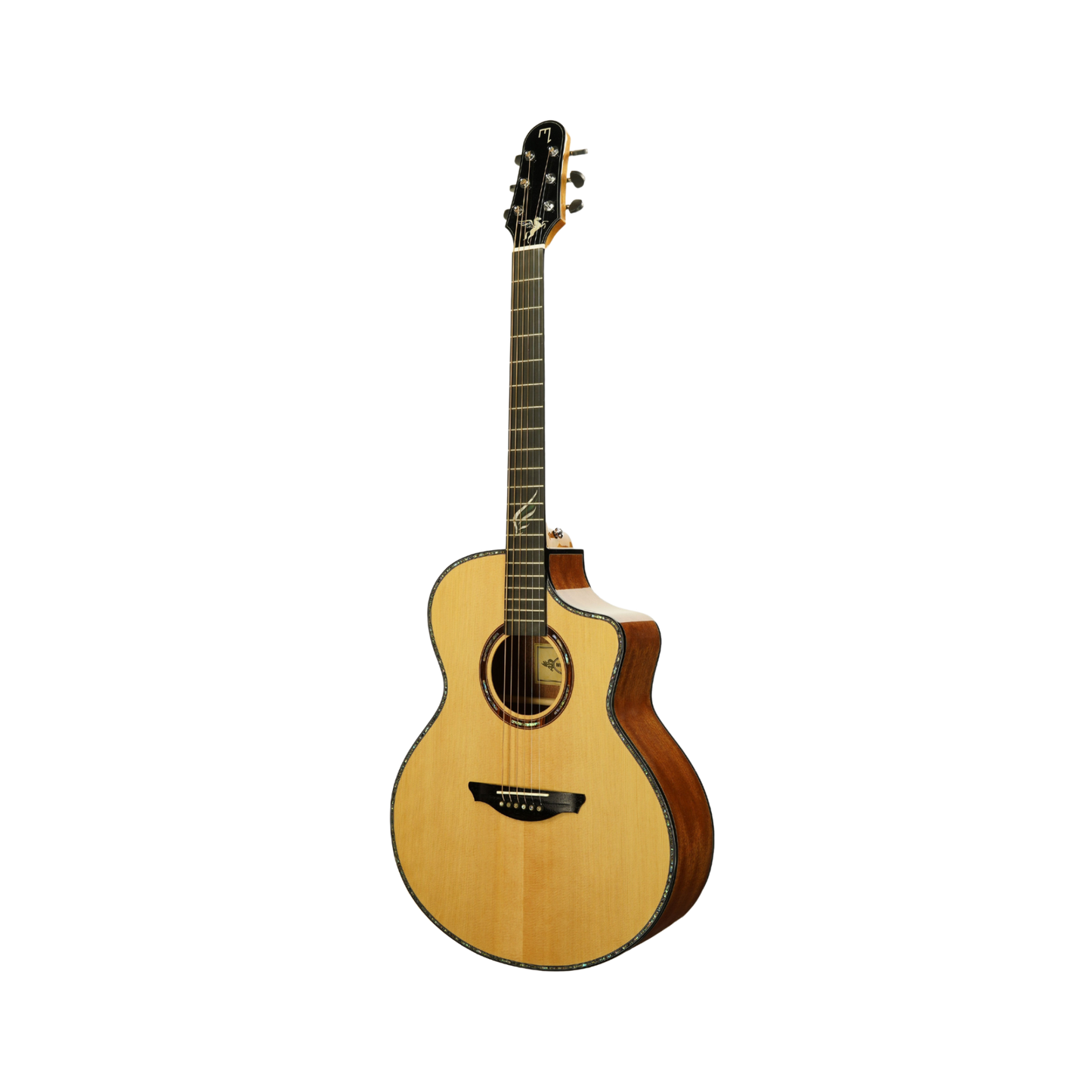 Muxica M3f Guitar + Outfit