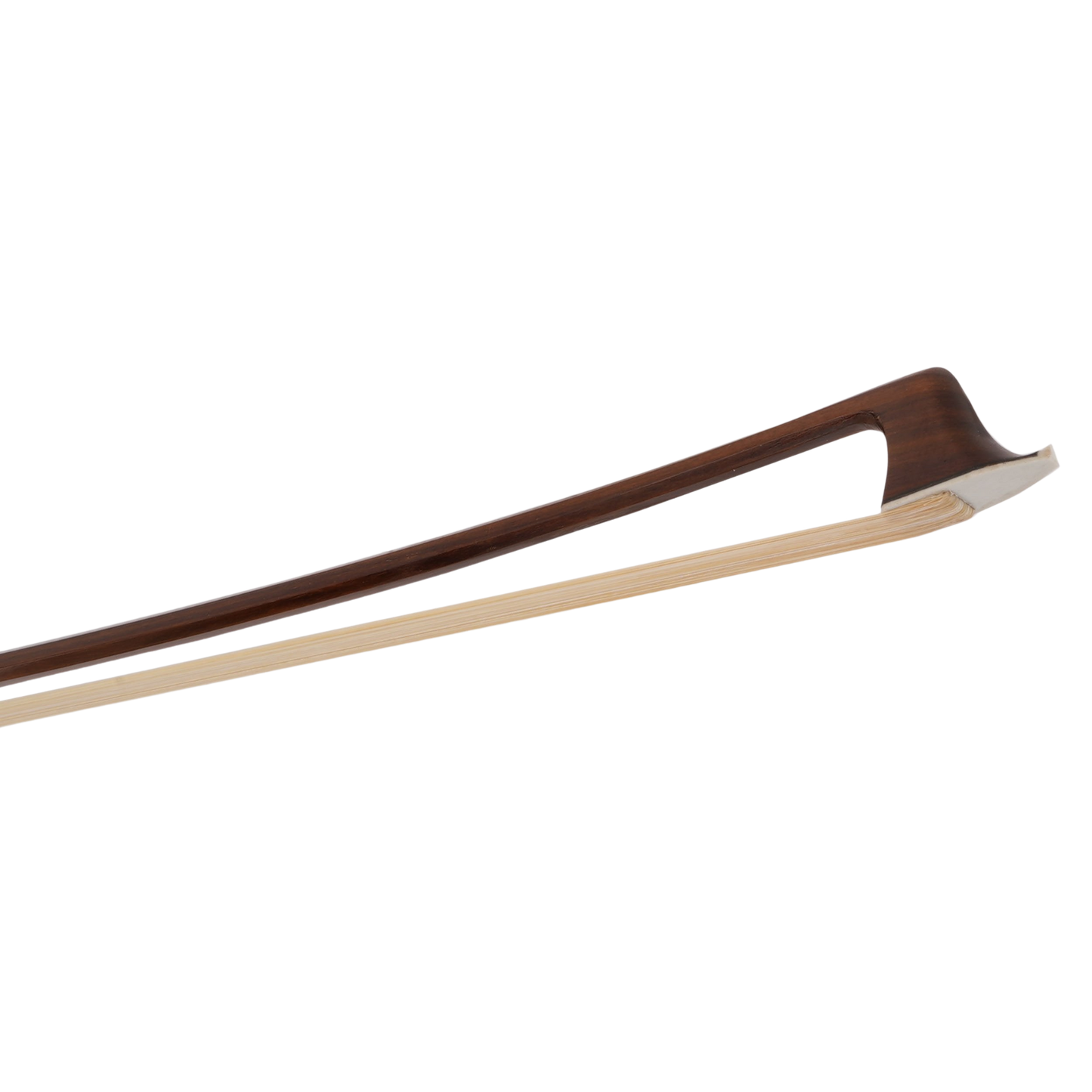 buy Primo VC-5302 Brazil Wood Cello Bow Intermediate