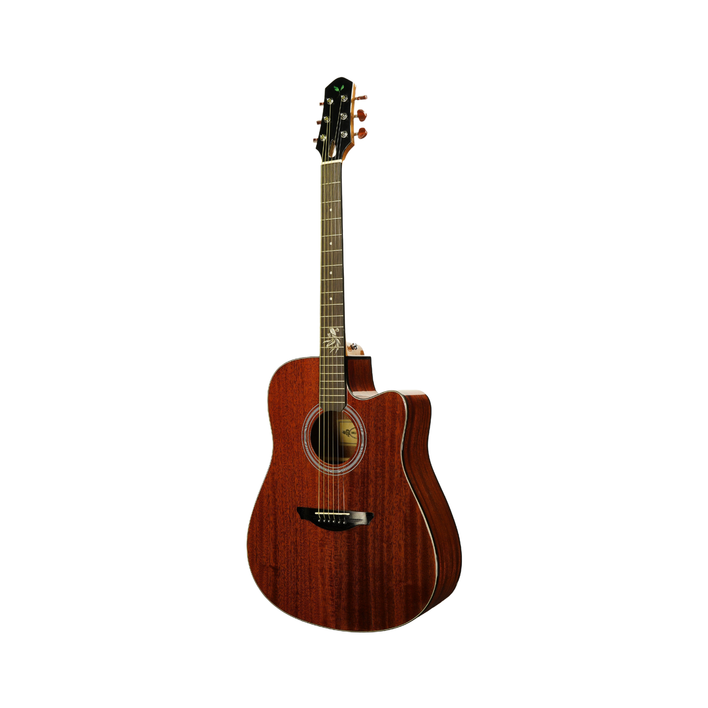 Muxica G31c Guitar + Outfit