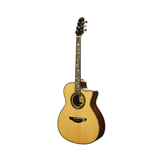 Muxica M600c Guitar + Outfit