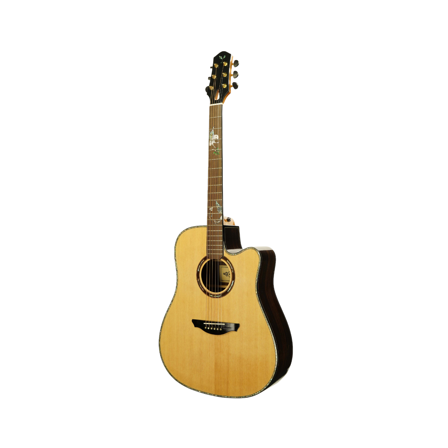 Muxica M510c Guitar + Outfit