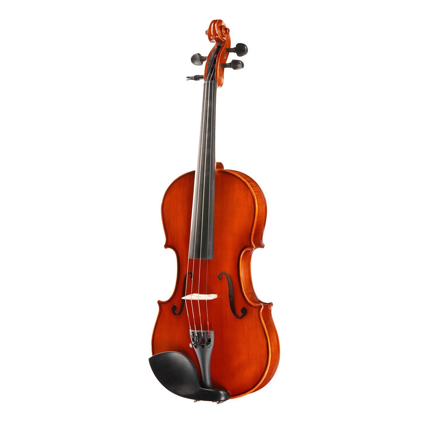 Samuel Eastman VL100 Violin Outfit
