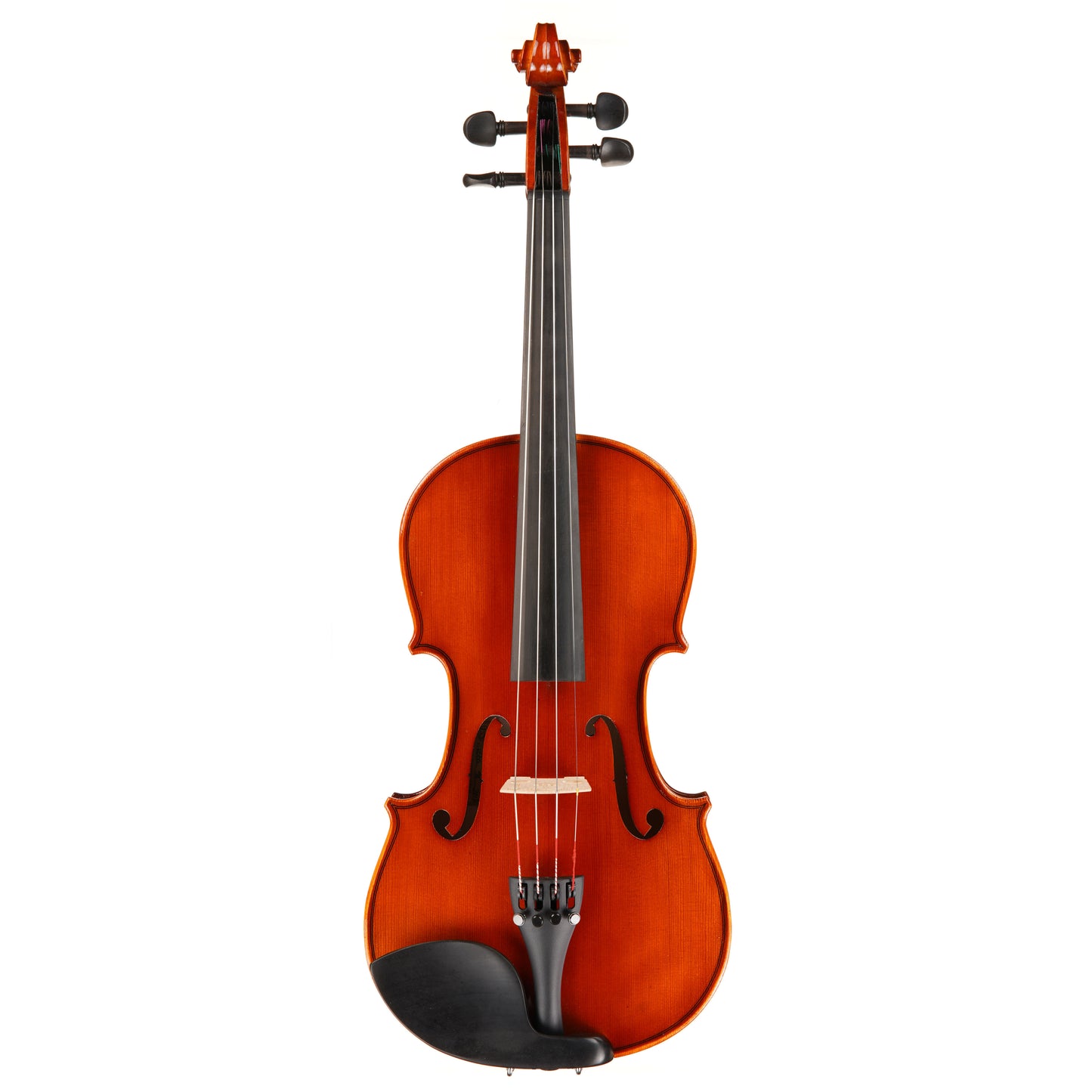 Samuel Eastman VL100 Violin Outfit
