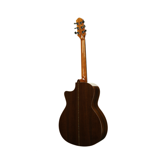 Muxica G500c Guitar + Outfit