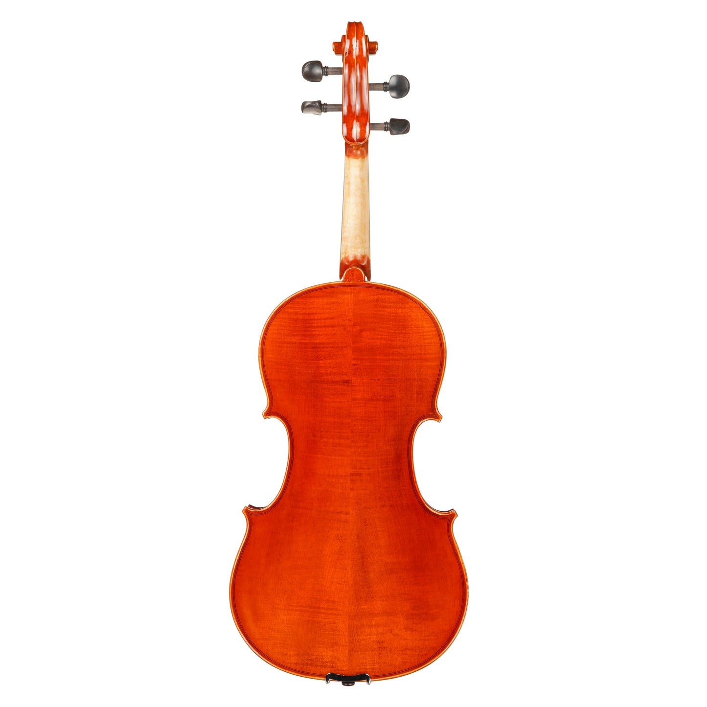 Vincenzo Bellini VB-200 Viola + Outfit