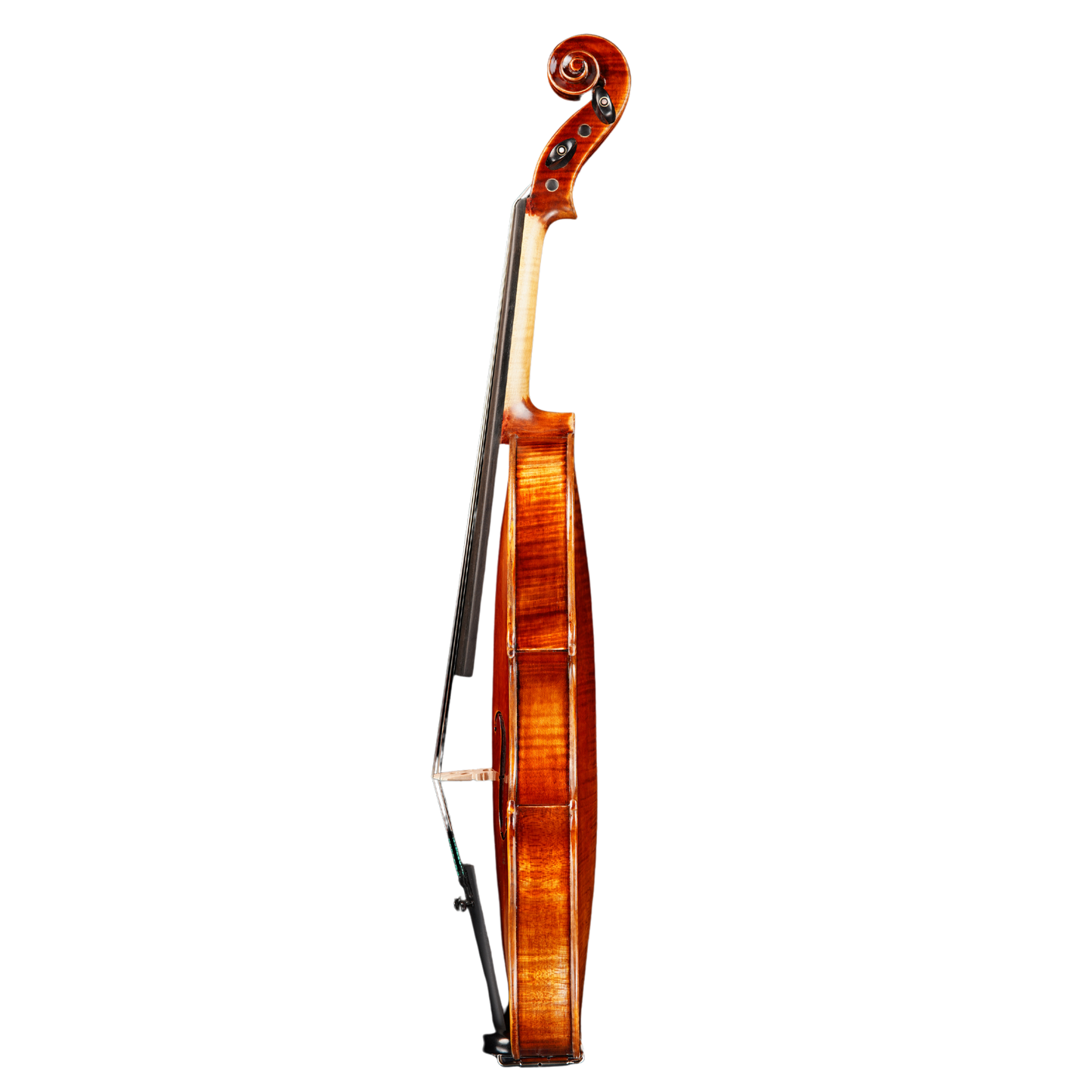 Vincenzo Bellini VB-103 Violin price