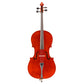 Antonio Scarlatti AS-300 Cello