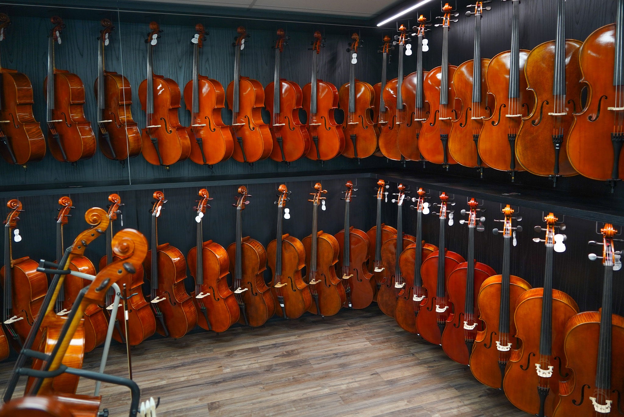 String Instruments Collection Gallery of String Instruments