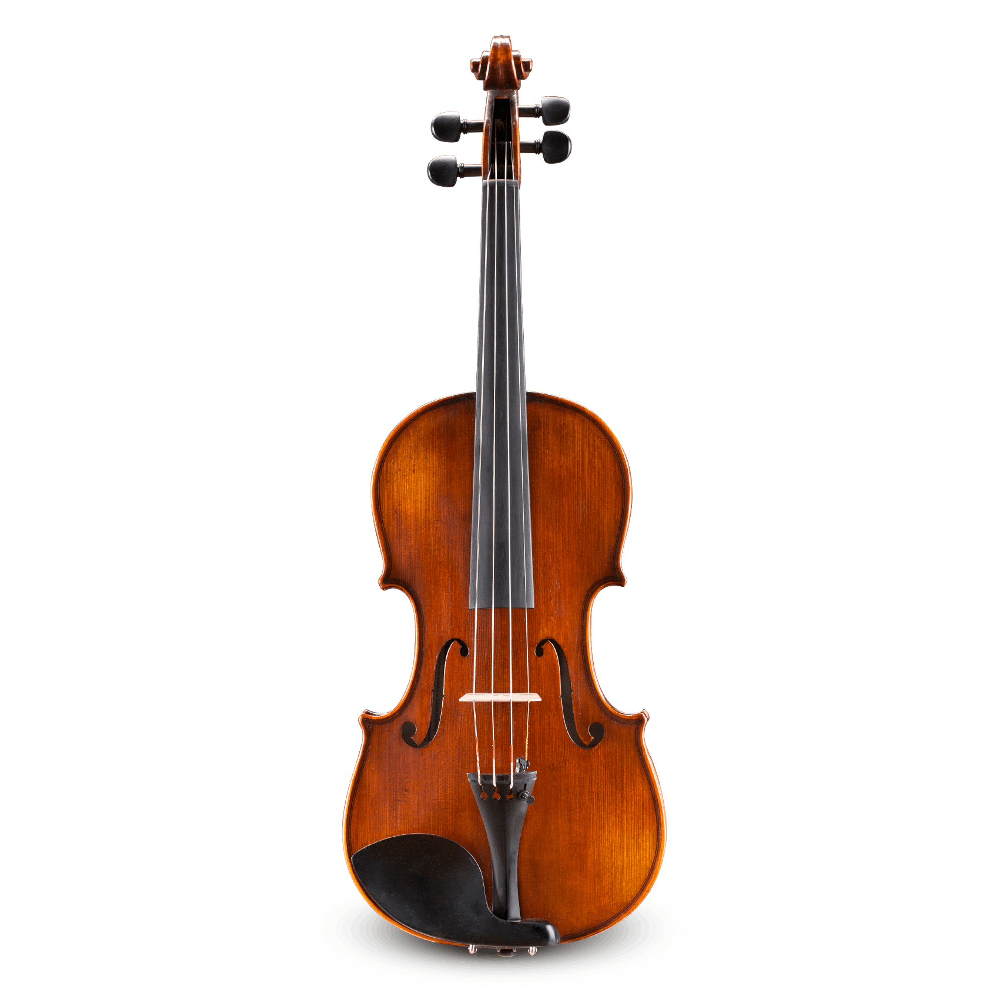 Andreas Eastman VL305 Violin for Sale | Shop with Best Prices