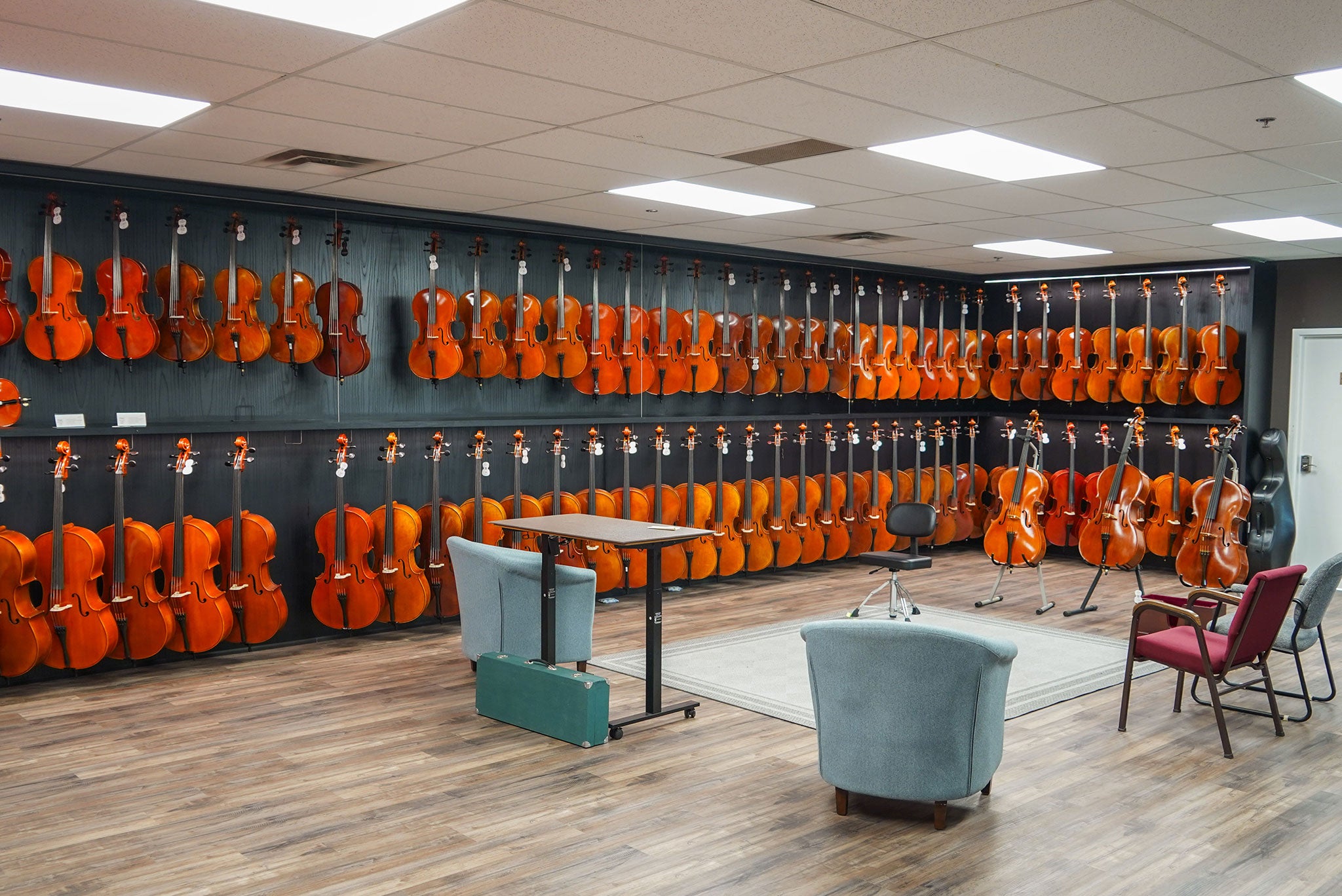String Instruments Collection Gallery of String Instruments
