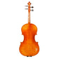 Giovanni Viotti GV-650 Viola
