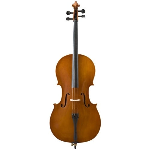 Samuel Eastman VL80 Violin Outfit for Sale | eastman vl80 price
