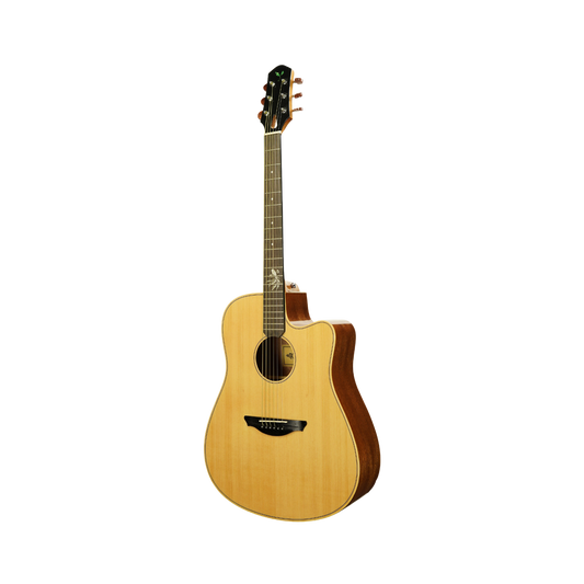 Muxica Guitar G21c