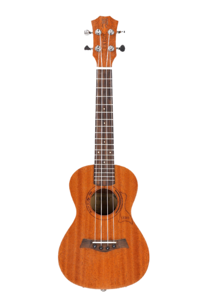 UKBOY Ukuleles Infiniti Strings