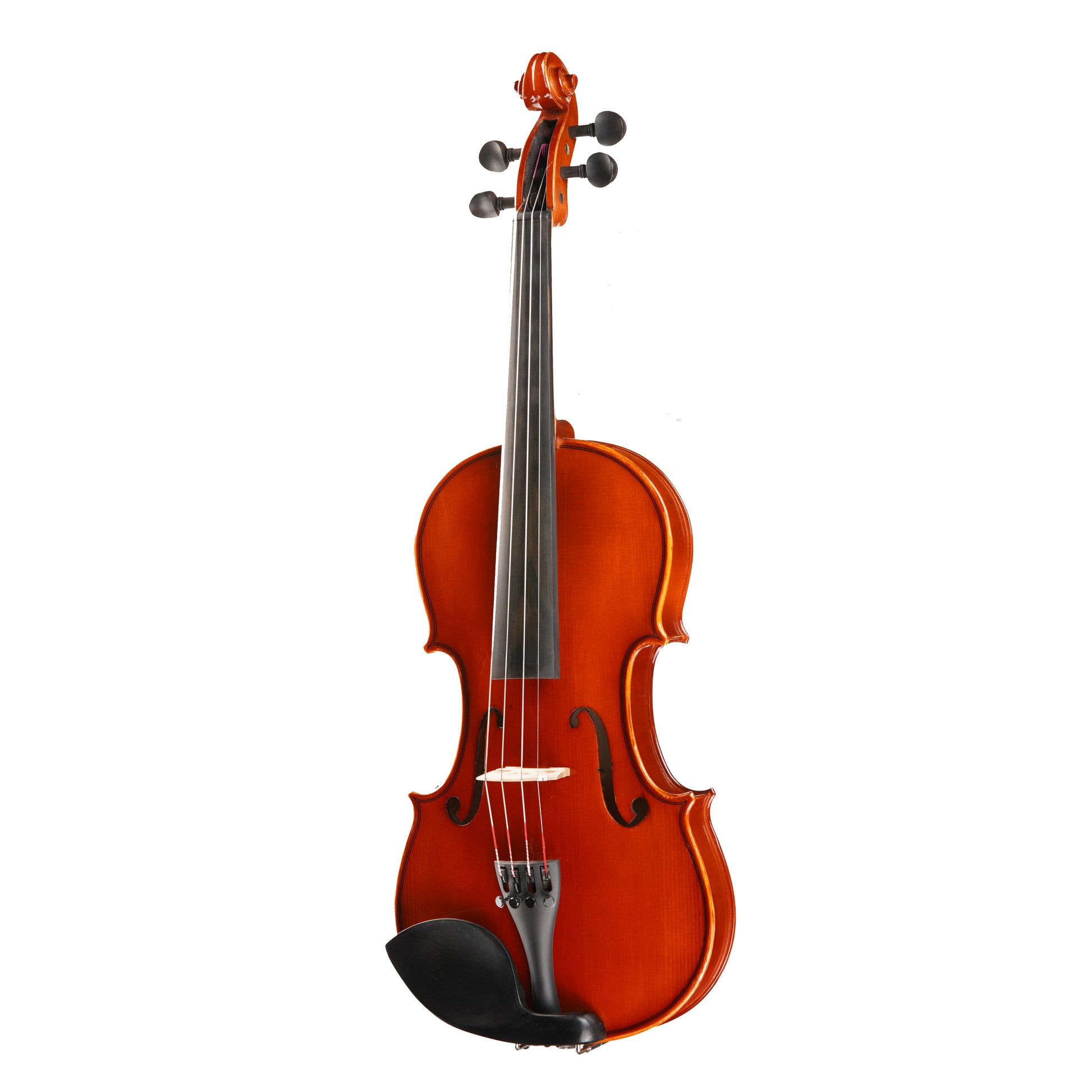 Samuel Eastman VL80 Violin Outfit