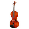 Giovanni Viotti GV-510 Violin