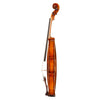 Giovanni Viotti GV-580 Violin