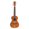 UKBOY 12 Zodiac Ukulele