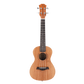 UKBOY 12 Zodiac Ukulele