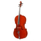 John Newton Cello