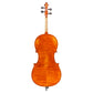 Vincenzo Bellini VB-304 Cello