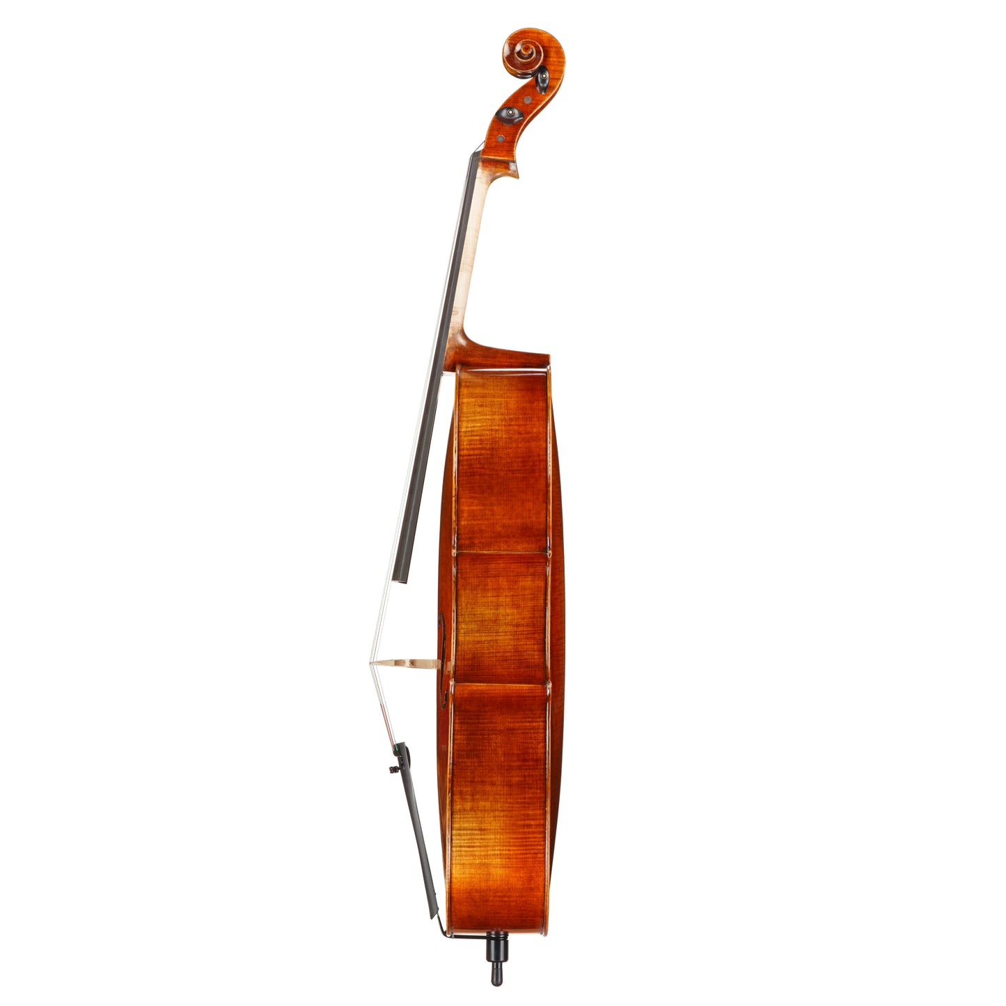 Vincenzo Bellini VB-305 Cello
