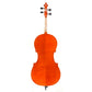 Vincenzo Bellini VB-30 Cello