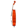 Vincenzo Bellini VB-30 Cello