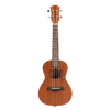 UKBOY 12 Zodiac Ukulele