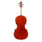 John Newton Cello price