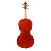 John Newton Cello price