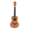 UKBOY 12 Zodiac Ukulele