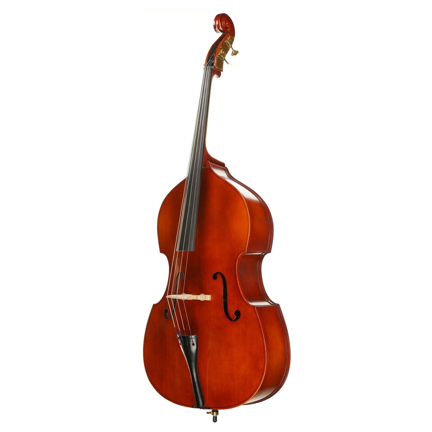 Double Bass Rental - PB 20