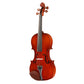 Violin Rental: PN-30
