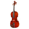 Violin Rental: PN-30