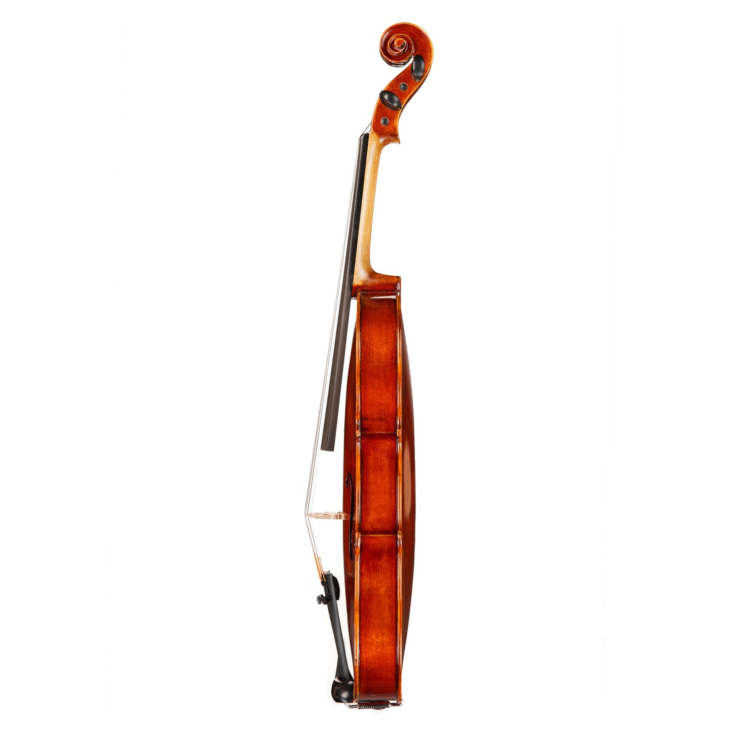 Primo PN-35 Violin