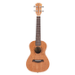 UKBOY 12 Zodiac Ukulele