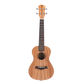 UKBOY 12 Zodiac Ukulele