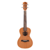 UKBOY 12 Zodiac Ukulele