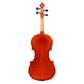 Samuel Eastman VL80 Violin Outfit