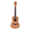 UKBOY 12 Zodiac Ukulele