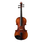 Samuel Eastman VL105 Violin Outfit
