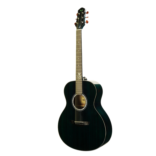 Muxica G20 Guitar Green + Outfit