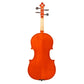 Antonio Scarlatti AS-200 Viola + Outfit