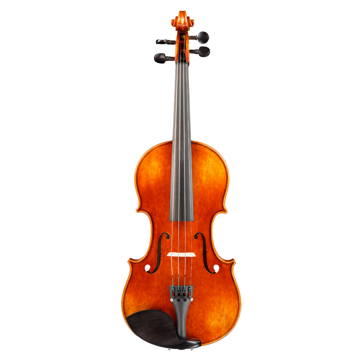 Vincenzo Bellini VB-102 Violin + Outfit