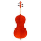 Antonio Scarlatti AS-300 Cello