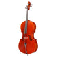 Antonio Scarlatti AS-301 Cello